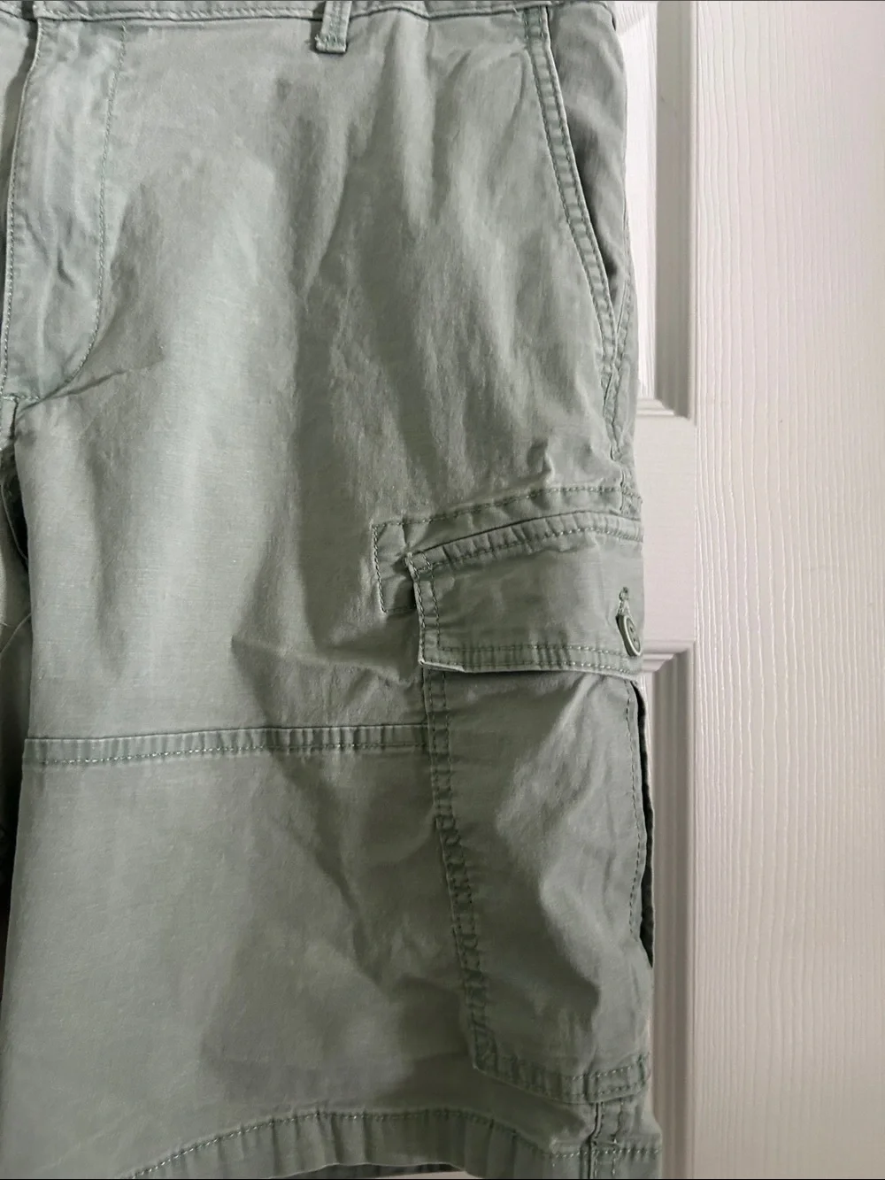 Izod Men's Cargo Shorts in Sage Green